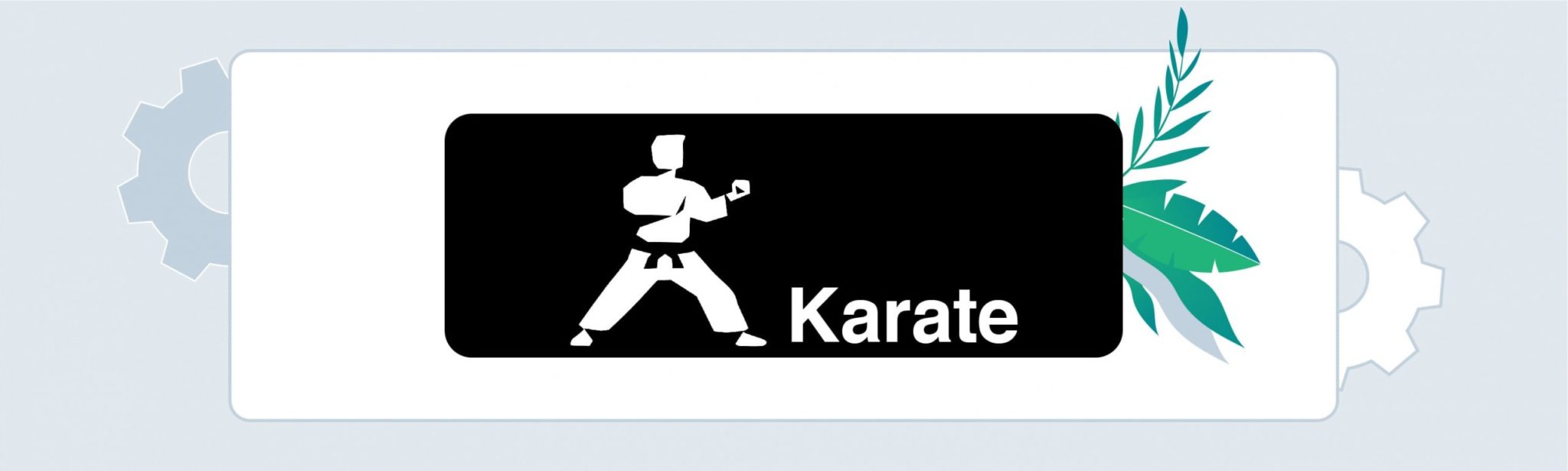 Karate DSL as the best API testing tool
