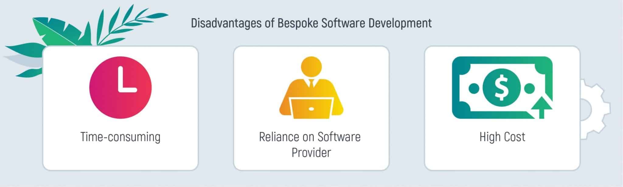 Main Advantages and Disadvantages of Bespoke Software Development